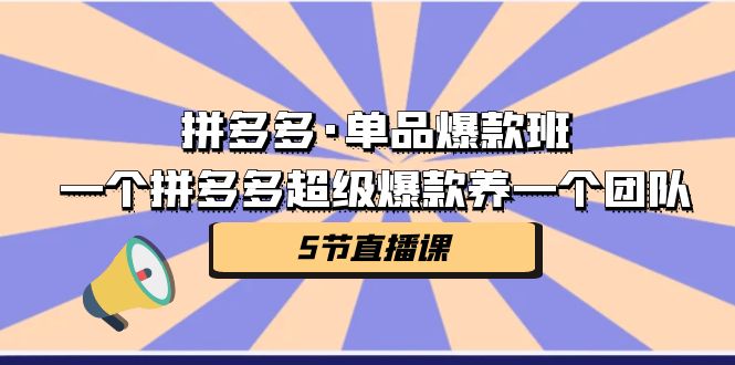 拼多多·单品爆款班，一个拼多多超级爆款养一个团队（5节直播课）-我爱学习网