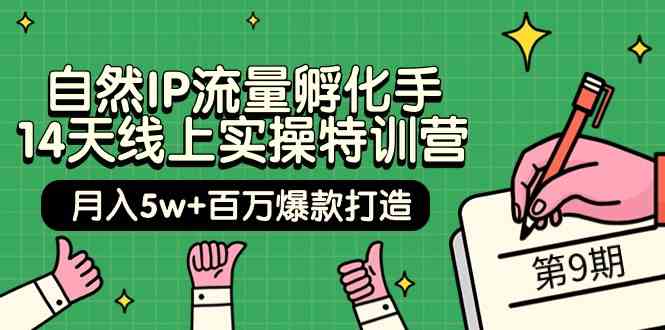 （9881期）自然IP流量孵化手 14天线上实操特训营【第9期】月入5w+百万爆款打造 (74节)-我爱学习网