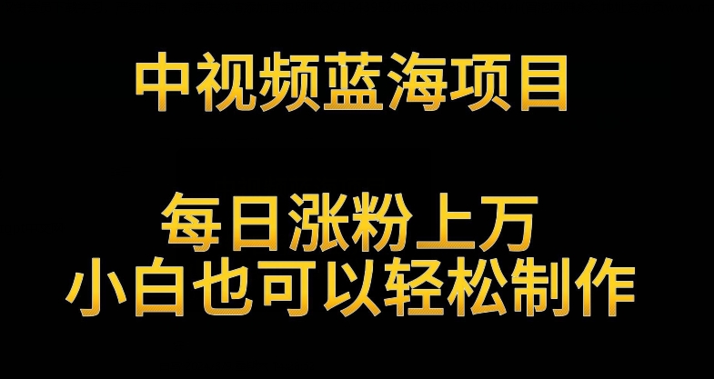 中视频蓝海项目，解读英雄人物生平，每日涨粉上万，小白也可以轻松制作，月入过万不是梦-我爱学习网