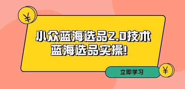 拼多多培训第33期：小众蓝海选品2.0技术-蓝海选品实操！-我爱学习网