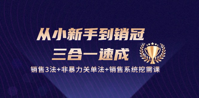 （10799期）从小新手到销冠 三合一速成：销售3法+非暴力关单法+销售系统挖需课 (27节)-我爱学习网