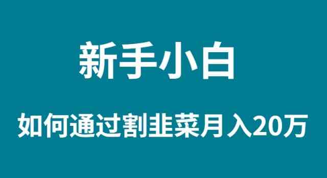 （9308期）新手小白如何通过割韭菜月入 20W-我爱学习网