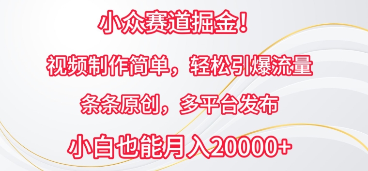 小众赛道掘金，视频制作简单，轻松引爆流量，条条原创，多平台发布-我爱学习网