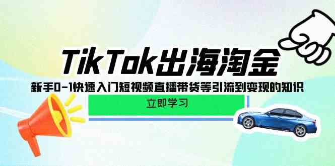 TikTok出海淘金，新手0-1快速入门短视频直播带货等引流到变现的知识-我爱学习网