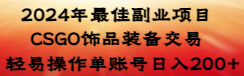 2024年最佳副业项目 CSGO饰品装备交易 轻易操作单账号日入200+-我爱学习网