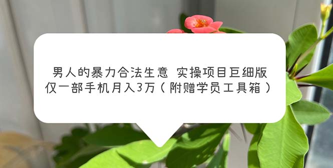 男人的暴力合法生意实操项目巨细版：仅一部手机月入3w（附赠学员工具箱）-灵牛资源网