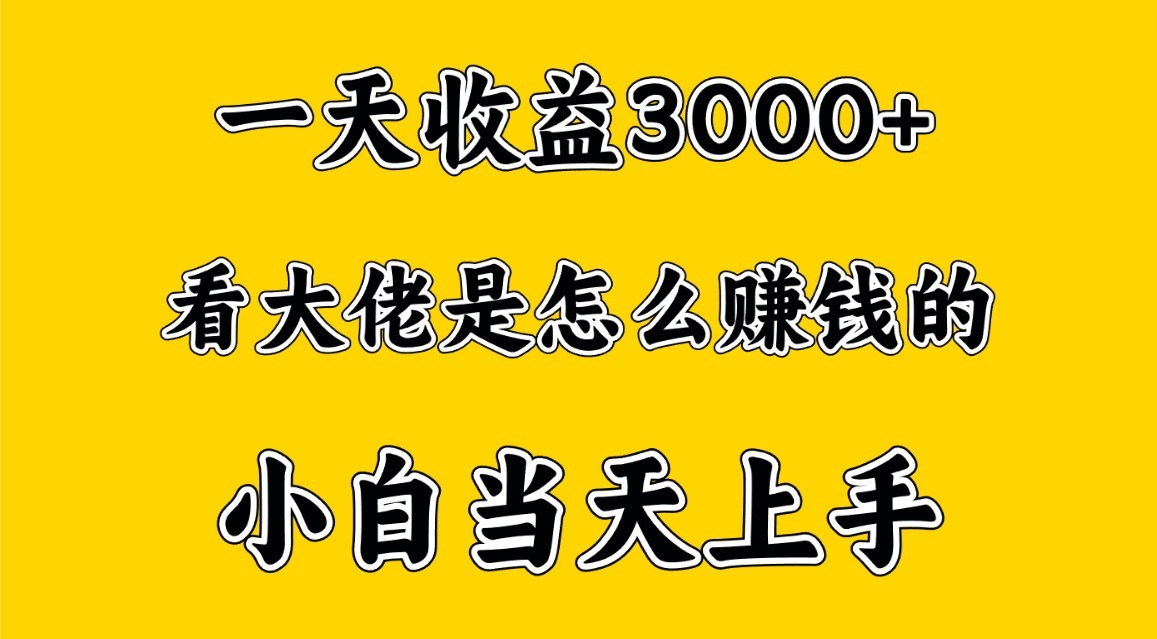 一天赚3000多，大佬是这样赚到钱的，小白当天上手，穷人翻身项目-灵牛资源网