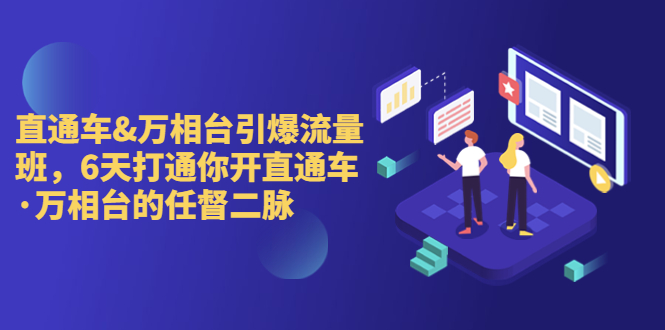 直通车+万相台引爆流量班，6天打通你开直通车·万相台的任督 二脉-灵牛资源网