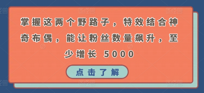 掌握这两个野路子，特效结合神奇布偶，能让粉丝数量飙升，至少增长 5000-我爱学习网