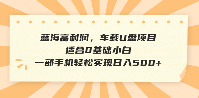 蓝海高利润，车载U盘项目，适合0基础小白，一部手机轻松实现日入500+-我爱学习网