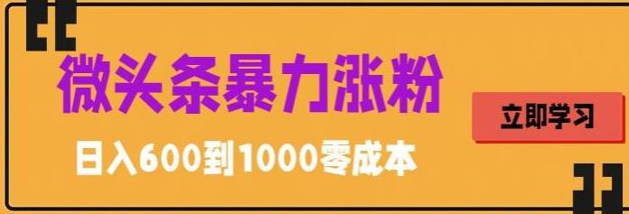 微头条暴力涨粉技巧搬运文案就能涨几万粉丝，简单0成本，日赚600-我爱学习网