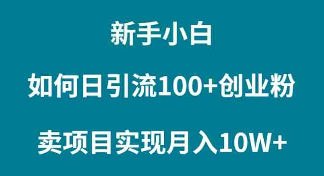 （9556期）新手小白如何通过卖项目实现月入10W+-我爱学习网