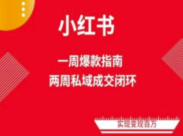 爆款小红书免费流量体系课程(两周变现)，小红书电商教程-我爱学习网