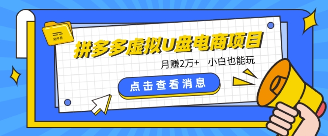 拼多多虚拟U盘电商红利项目：月赚2万+，新手小白也能玩-我爱学习网