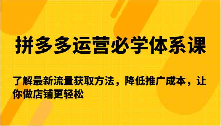 拼多多运营必学体系课-了解最新流量获取方法，降低推广成本，让你做店铺更轻松-网创资源库