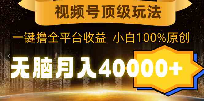 （9281期）视频号顶级玩法，无脑月入40000+，一键撸全平台收益，纯小白也能100%原创-灵牛资源网