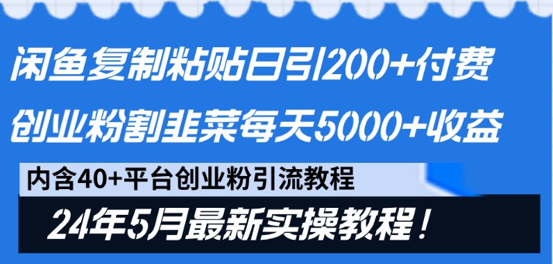 闲鱼复制粘贴日引200+付费创业粉，24年5月最新方法！割韭菜日稳定5000+收益-灵牛资源网