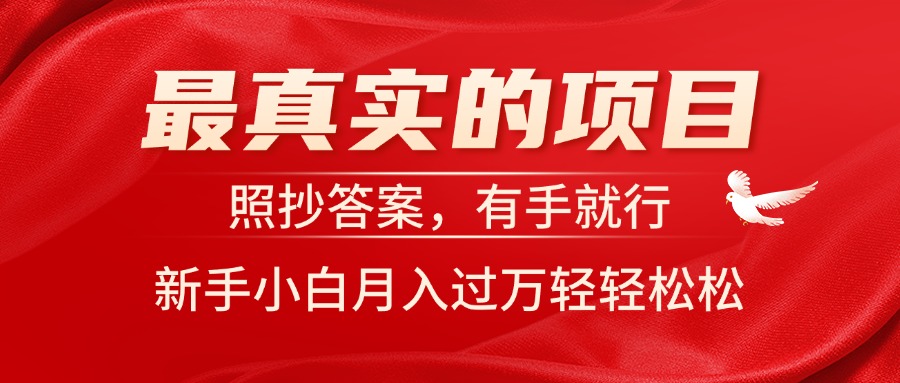 最真实的项目，照抄答案，有手就行，新手小白月入过万轻轻松松-灵牛资源网