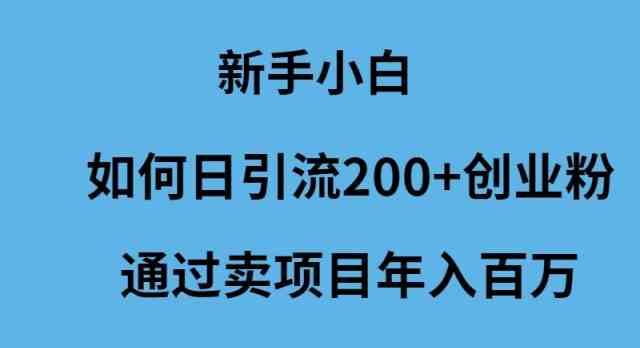 （9668期）新手小白如何日引流200+创业粉通过卖项目年入百万-我爱学习网