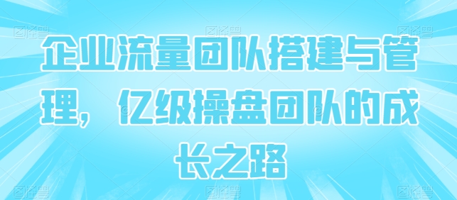 企业流量团队搭建与管理，亿级操盘团队的成长之路-我爱学习网