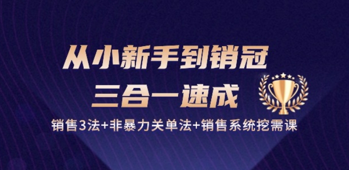 从小新手到销冠 三合一速成：销售3法+非暴力关单法+销售系统挖需课 (27节)-灵牛资源网