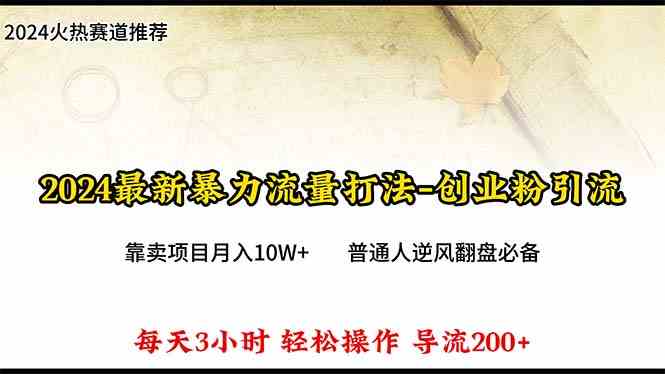 （10151期）2024年最新暴力流量打法，每日导入300+，靠卖项目月入10W+-灵牛资源网