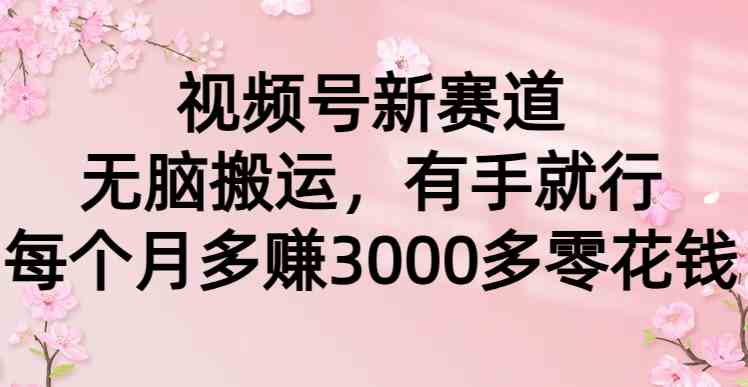 （9277期）视频号新赛道，无脑搬运，有手就行，每个月多赚3000多零花钱-灵牛资源网