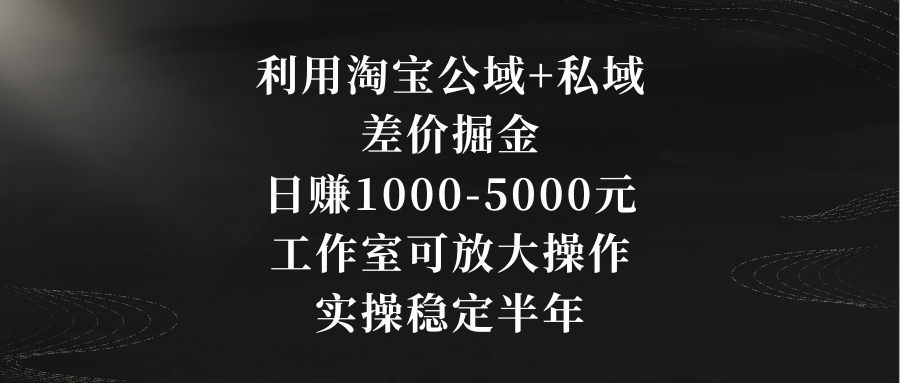 利用淘宝公域+私域差价掘金，日赚1000-5000元，工作室可放大操作，实操…-我爱学习网