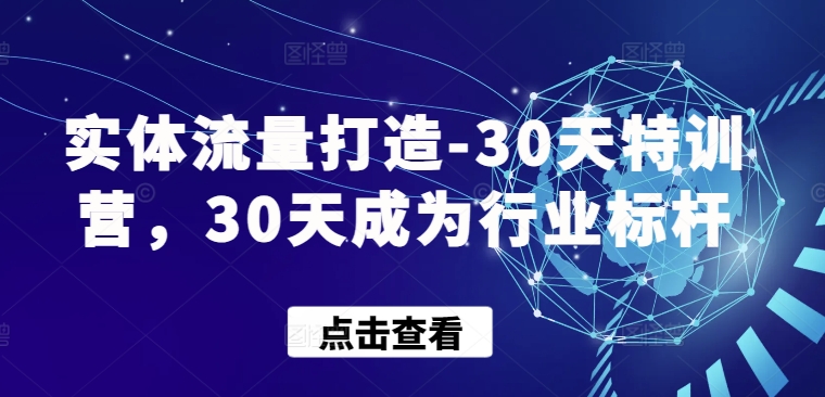 实体流量打造-30天特训营，30天成为行业标杆-我爱学习网