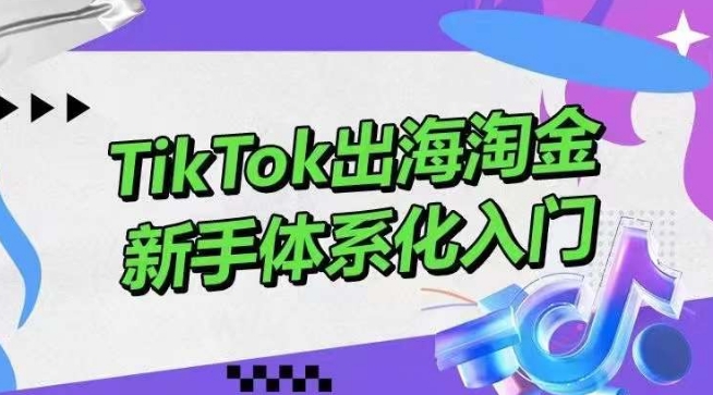 TikTok出海淘金，新手体系化入门，零基础快速入门，掌握短视频、直播带货等引流到变现的知识-灵牛资源网