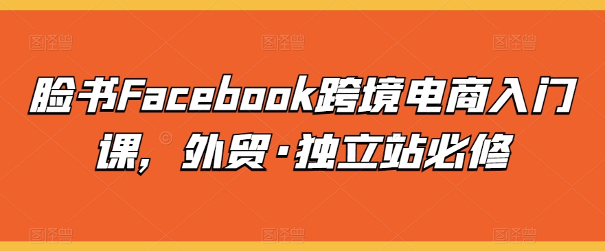 脸书Facebook跨境电商入门课，外贸·独立站必修-我爱学习网