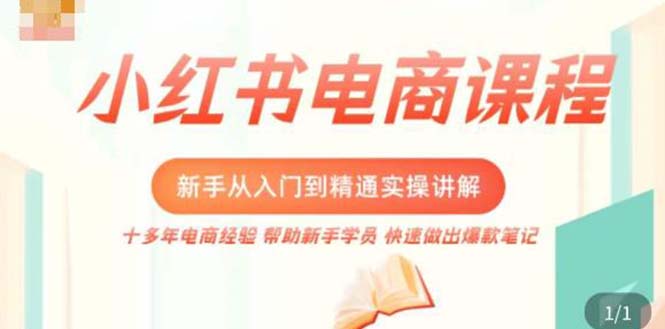 小红书电商新手入门到精通实操课，从入门到精通做爆款笔记，开店运营-我爱学习网