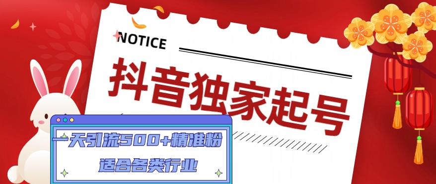 抖音独家起号，一天引流500+精准粉，适合各类行业（9节视频课）-我爱学习网