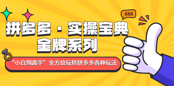 拼多多·实操宝典：金牌系列“小白到高手”带你全方位玩转拼多多各种玩法-我爱学习网