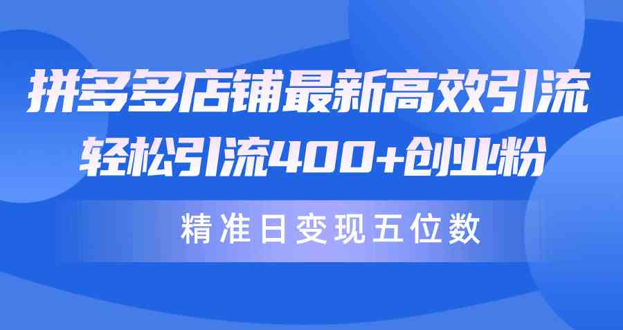 （10041期）拼多多店铺最新高效引流术，轻松引流400+创业粉，精准日变现五位数！-我爱学习网