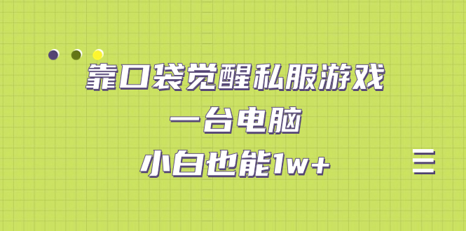 靠口袋觉醒私服游戏，一台电脑，小白也能1w+（教程+工具+资料）-我爱学习网