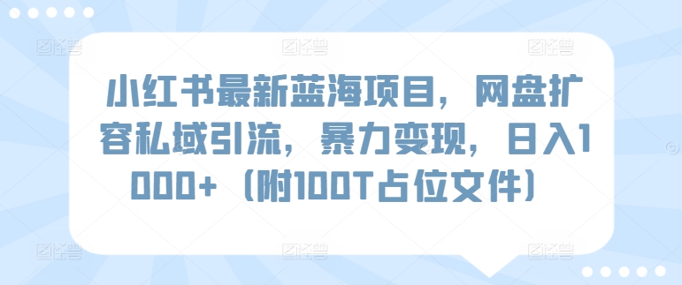 小红书最新蓝海项目，网盘扩容私域引流，暴力变现，日入1000+（附100T占位文件）-我爱学习网