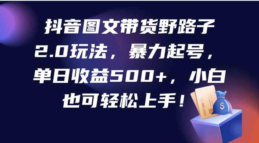 （9790期）抖音图文带货野路子2.0玩法，暴力起号，单日收益500+，小白也可轻松上手！-灵牛资源网