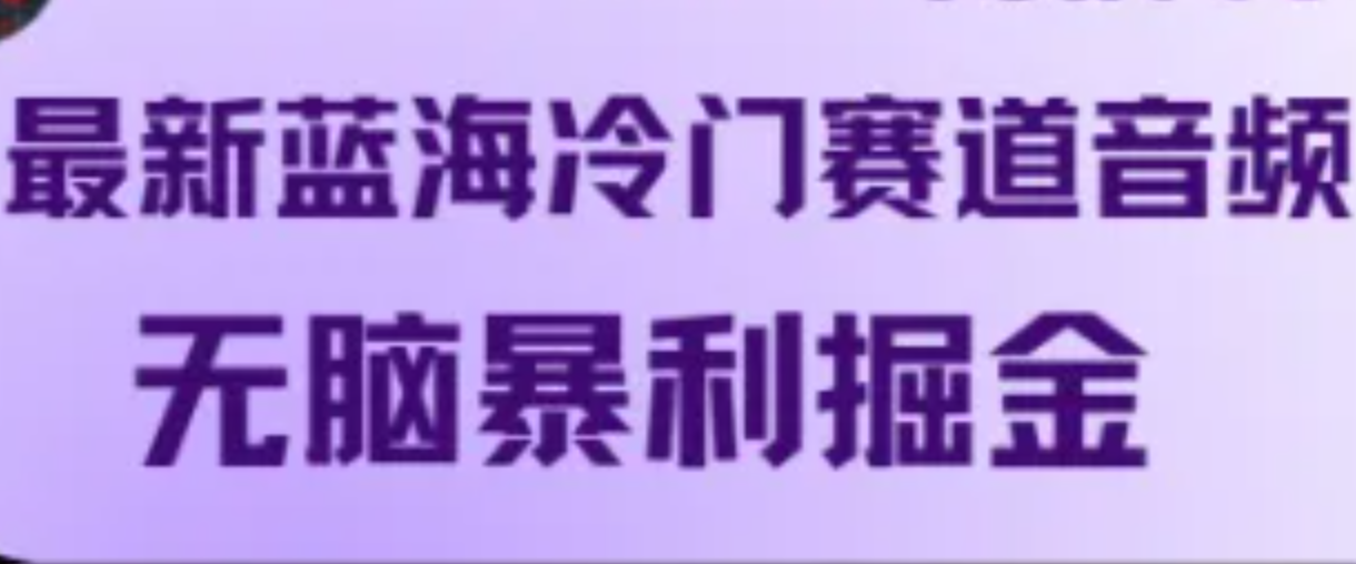 最新蓝海冷门赛道音频，无脑暴利掘金-我爱学习网