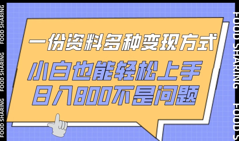 一份资料多种变现方式，小白也能轻松上手，日入800不是问题-灵牛资源网