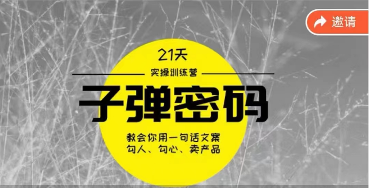 《子弹密码训练营》用一句话文案勾人勾心卖产品，21天学到顶尖文案大师策略和技巧-灵牛资源网