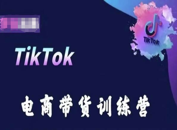 TikTok电商带货训练营，跟随时代潮流，跨境掘金-灵牛资源网