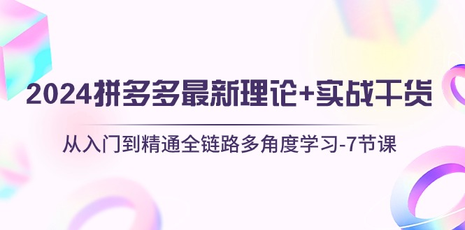 （10816期）2024拼多多 最新理论+实战干货，从入门到精通全链路多角度学习-7节课-灵牛资源网