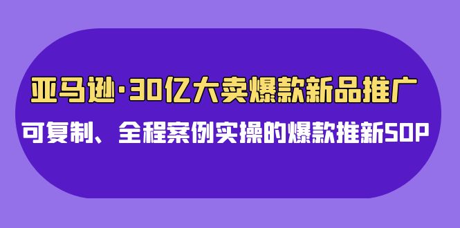 亚马逊30亿大卖爆款新品推广，可复制、全程案例实操的爆款推新SOP-灵牛资源网