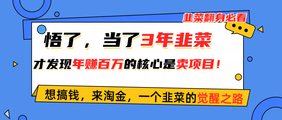 （10759期）悟了，当了3年韭菜，才发现网赚圈年赚100万的核心是卖项目，含泪分享！-灵牛资源网