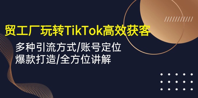 外贸工厂玩转TikTok高效获客，多种引流方式/账号定位/爆款打造/全方位讲解-灵牛资源网