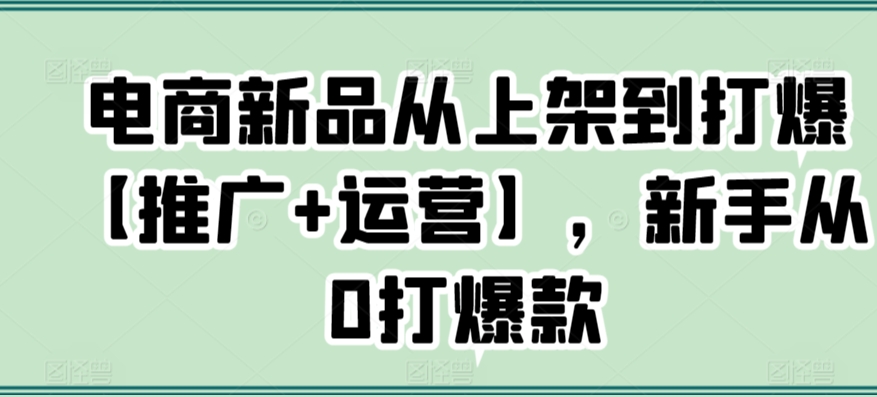 电商新品从上架到打爆【推广+运营】，新手从0打爆款-灵牛资源网