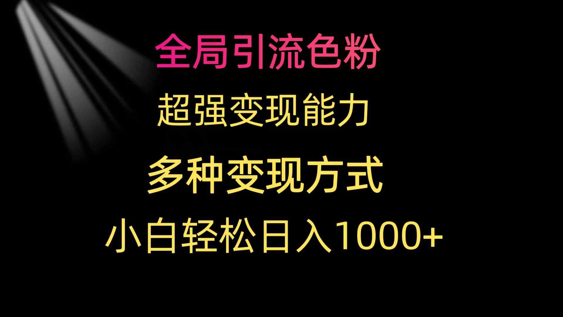 （9680期）全局引流色粉 超强变现能力 多种变现方式 小白轻松日入1000+-我爱学习网