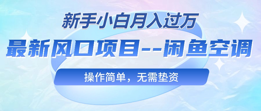 （10767期）最新风口项目—闲鱼空调，新手小白月入过万，操作简单，无需垫资-我爱学习网