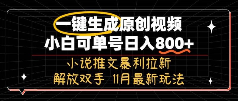 （13215期）11月最新玩法小说推文暴利拉新，一键生成原创视频，小白可单号日入800+…-我爱学习网